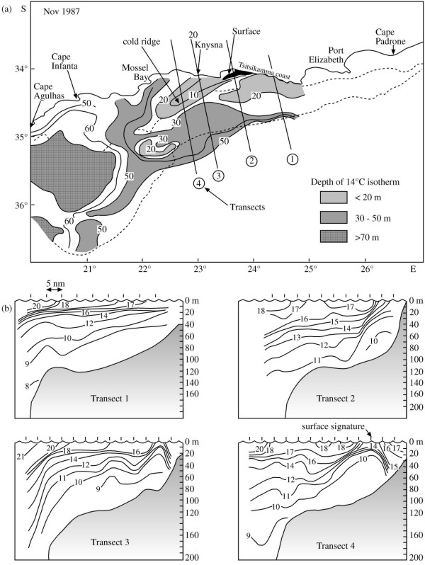 cold ridge thermocline