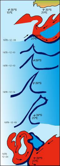 Agulhas warm core rings