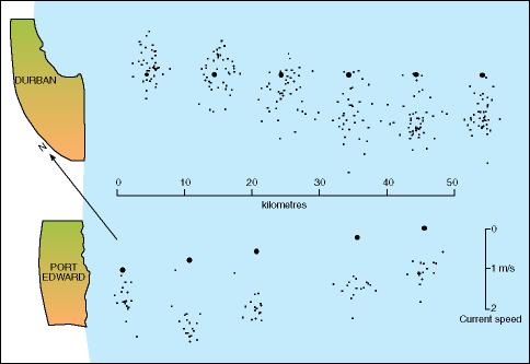 Durban cyclonic gyre