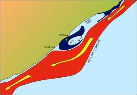 Durban Cyclonic gyre