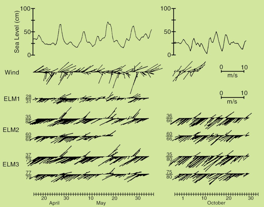 Narrow Shelf Coastal Water