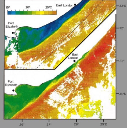 Port Alfred upwelling cell