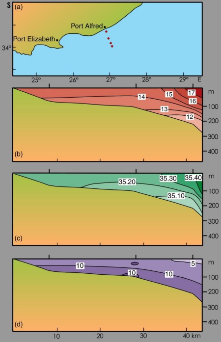 Port Alfred upwelling cell