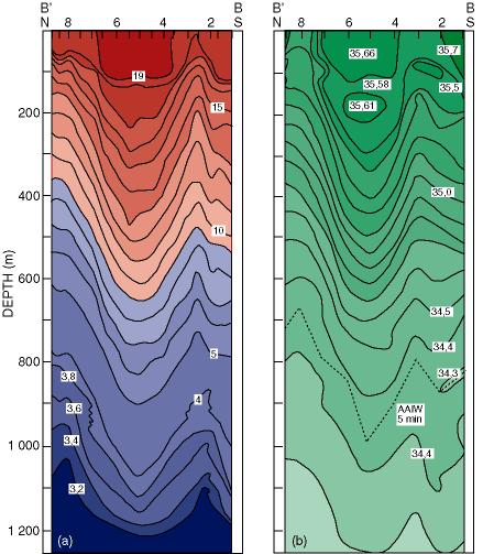 Agulhas warm core rings